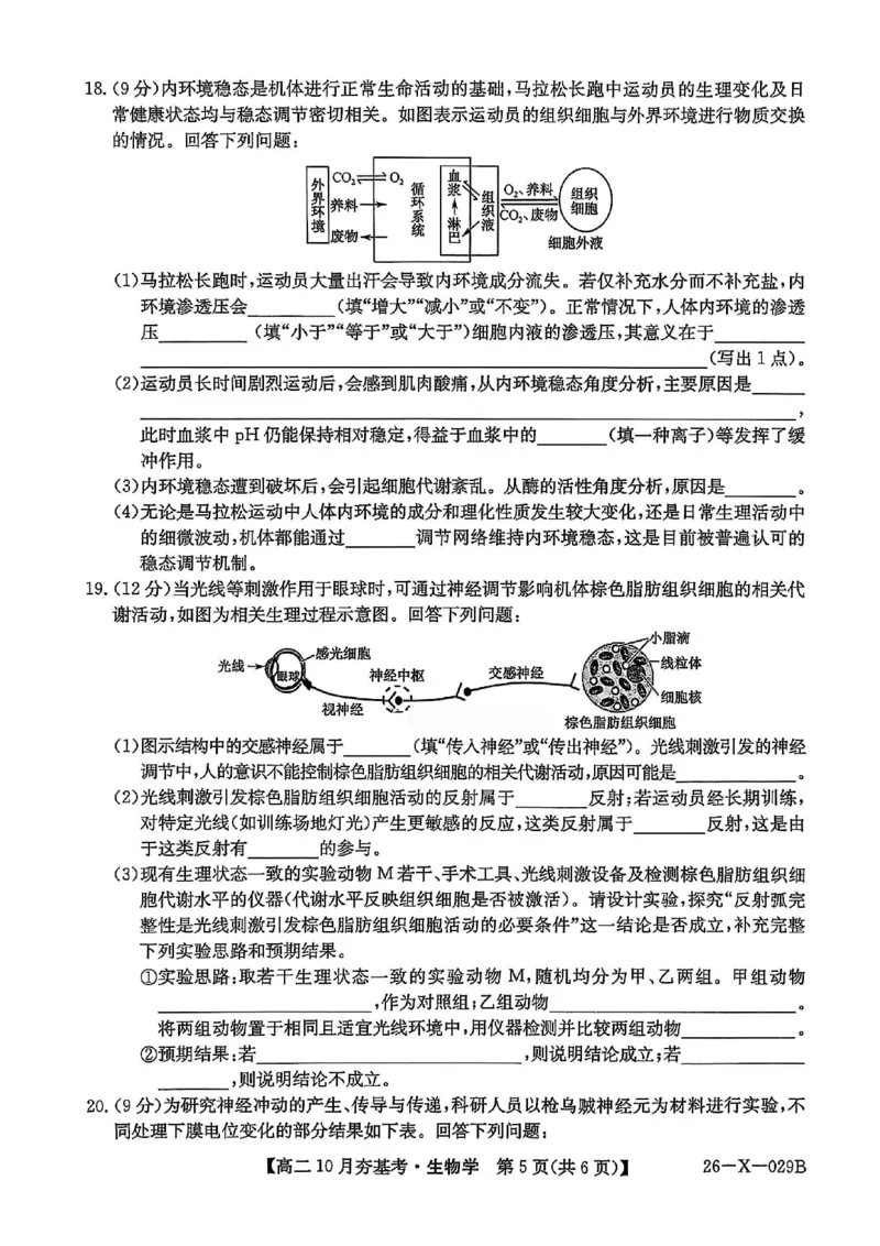 生物试卷-山西省三晋卓越联盟2025-2026学年高二10月夯基考(26-X-029B)_2025年10月高二试卷_251022山西省三晋卓越联盟2025-2026学年高二10月夯基考(26-X-029B)