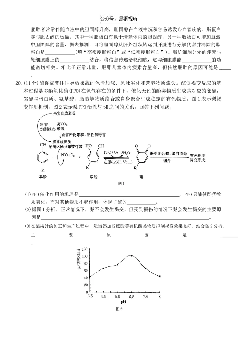 高三生物_2024-2025高三（6-6月题库）_2024年09月试卷_09282024-2025学年河北省金太阳高三年级上学期9月份考试（25-35C）_2024-2025学年河北省金太阳高三年级上学期9月份考试生物