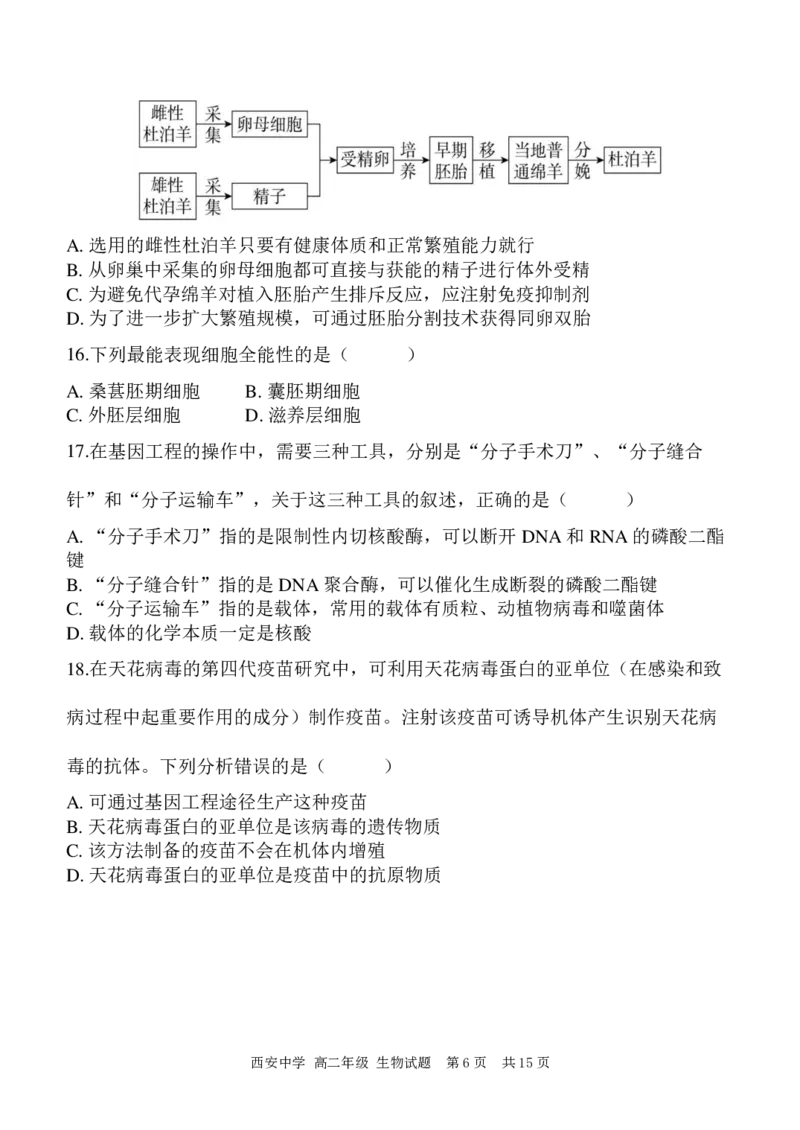 高二期末生物答案_2024-2025高二（7-7月题库）_2024年07月试卷_0702陕西省西安中学2023-2024学年高二下学期6月期末考试_陕西省西安中学2023-2024学年高二下学期6月期末考试生物