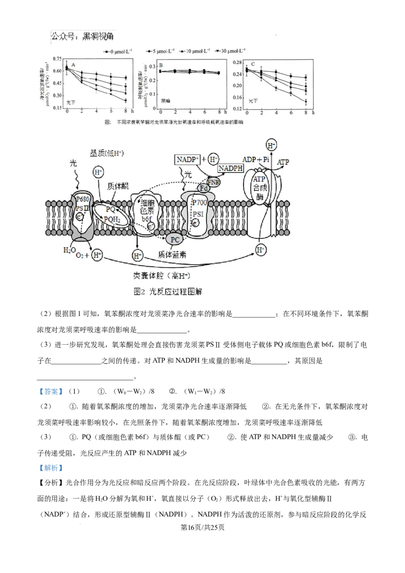 精品解析：湖南省郴州市2024&mdash;2025学年高三上学期第一次模拟考试生物试题（解析版）_2024-2025高三（6-6月题库）_2024年10月试卷_湖南省郴州市高三上学期第一次模拟考试生物试题