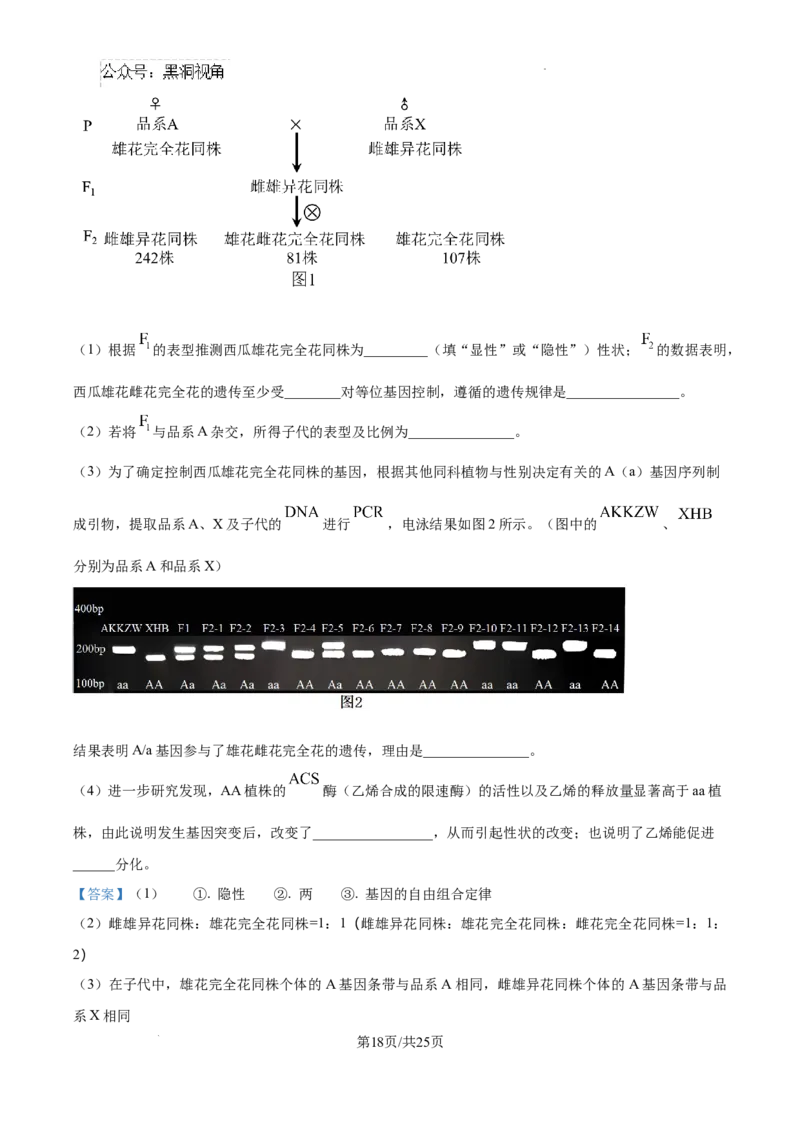 精品解析：湖南省郴州市2024&mdash;2025学年高三上学期第一次模拟考试生物试题（解析版）_2024-2025高三（6-6月题库）_2024年10月试卷_湖南省郴州市高三上学期第一次模拟考试生物试题