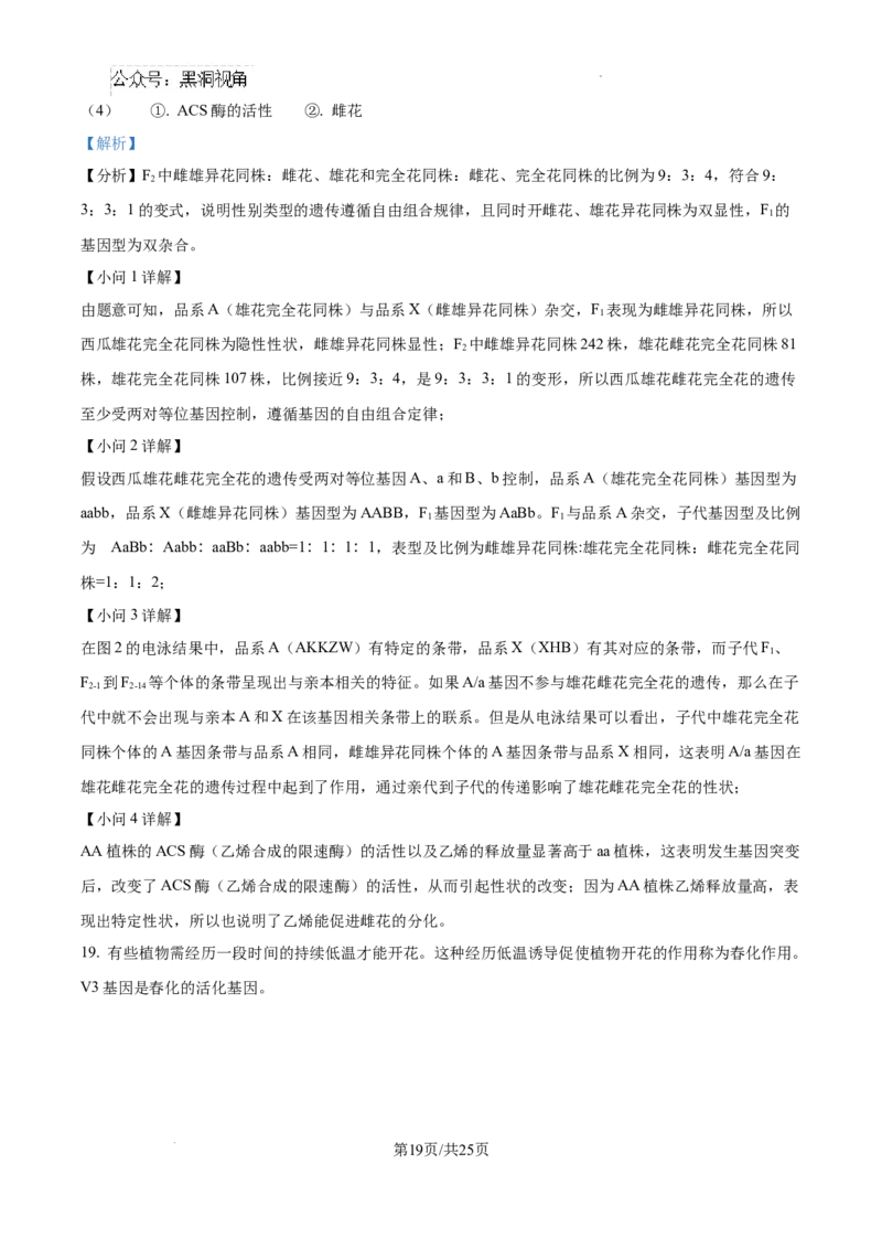 精品解析：湖南省郴州市2024&mdash;2025学年高三上学期第一次模拟考试生物试题（解析版）_2024-2025高三（6-6月题库）_2024年10月试卷_湖南省郴州市高三上学期第一次模拟考试生物试题