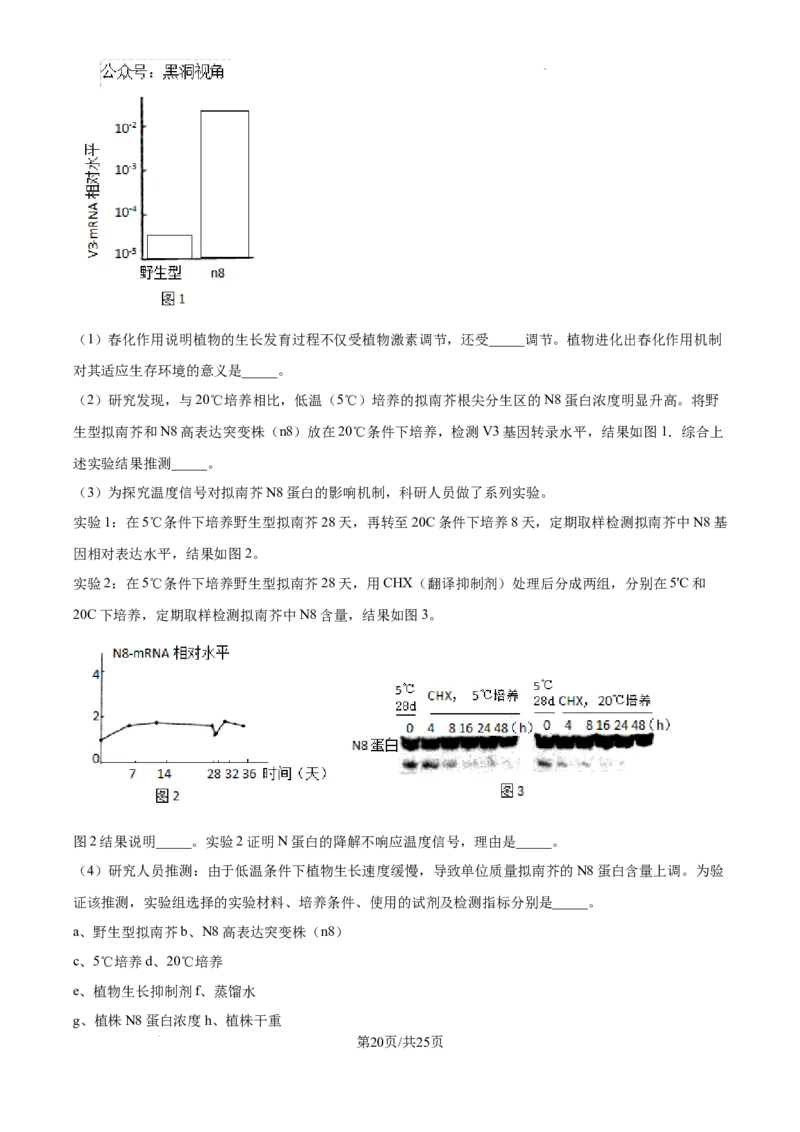 精品解析：湖南省郴州市2024&mdash;2025学年高三上学期第一次模拟考试生物试题（解析版）_2024-2025高三（6-6月题库）_2024年10月试卷_湖南省郴州市高三上学期第一次模拟考试生物试题