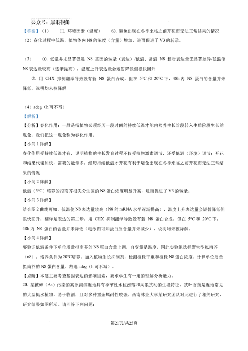 精品解析：湖南省郴州市2024&mdash;2025学年高三上学期第一次模拟考试生物试题（解析版）_2024-2025高三（6-6月题库）_2024年10月试卷_湖南省郴州市高三上学期第一次模拟考试生物试题