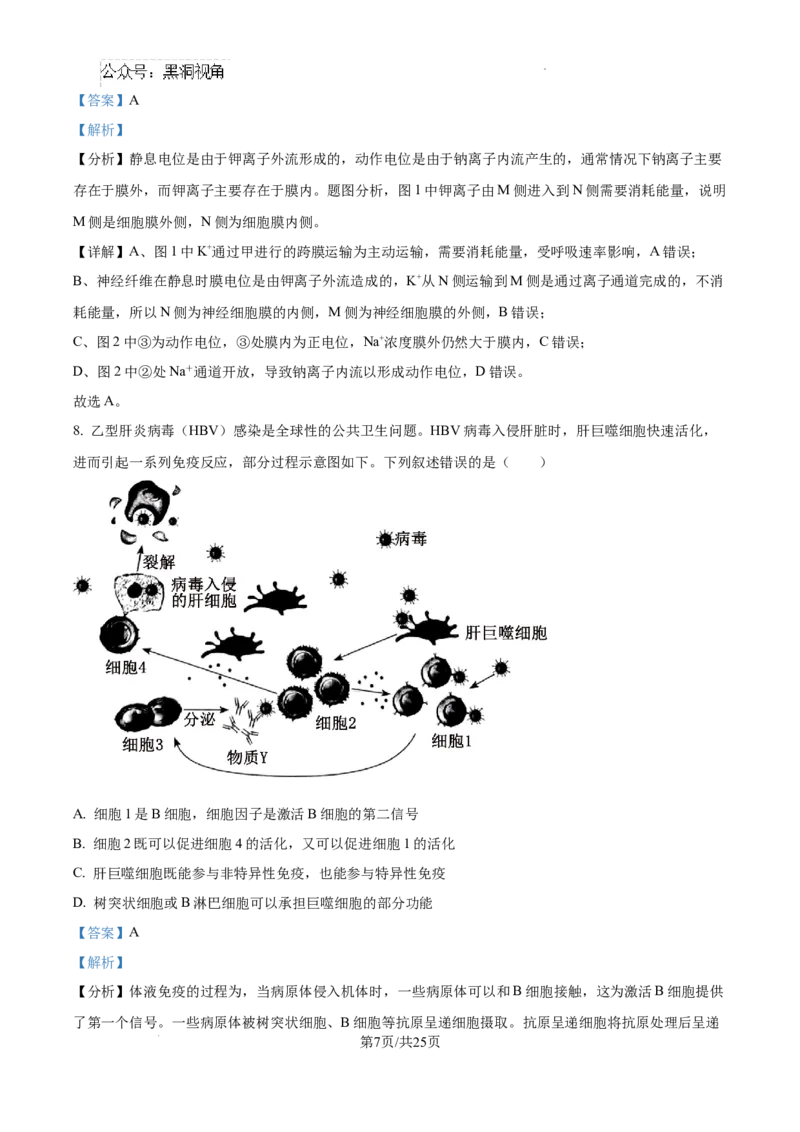 精品解析：湖南省郴州市2024&mdash;2025学年高三上学期第一次模拟考试生物试题（解析版）_2024-2025高三（6-6月题库）_2024年10月试卷_湖南省郴州市高三上学期第一次模拟考试生物试题