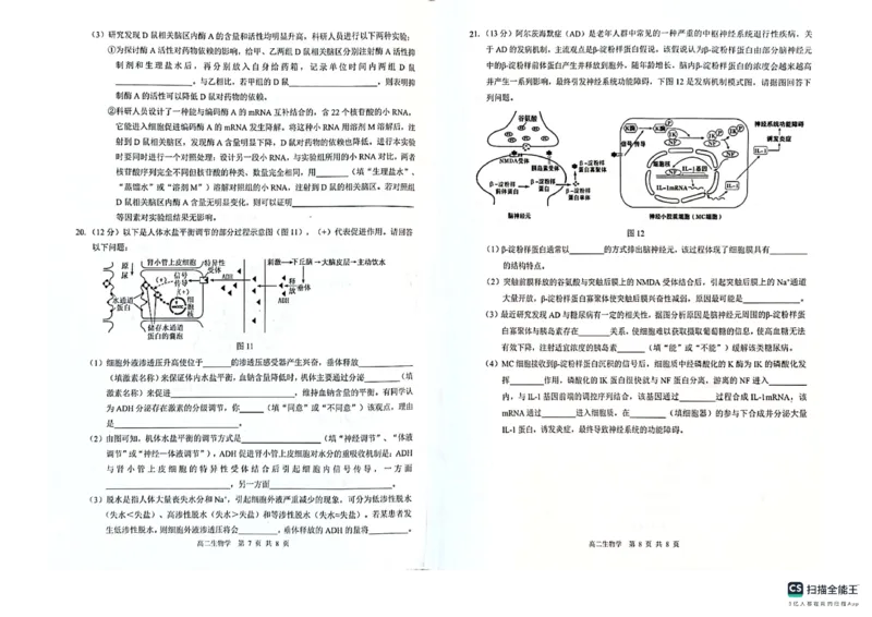 贵百河2025-2026学年高二上学期10月月考生物试卷_2025年10月高二试卷_251017广西贵百河2025-2026学年高二上学期10月考试卷