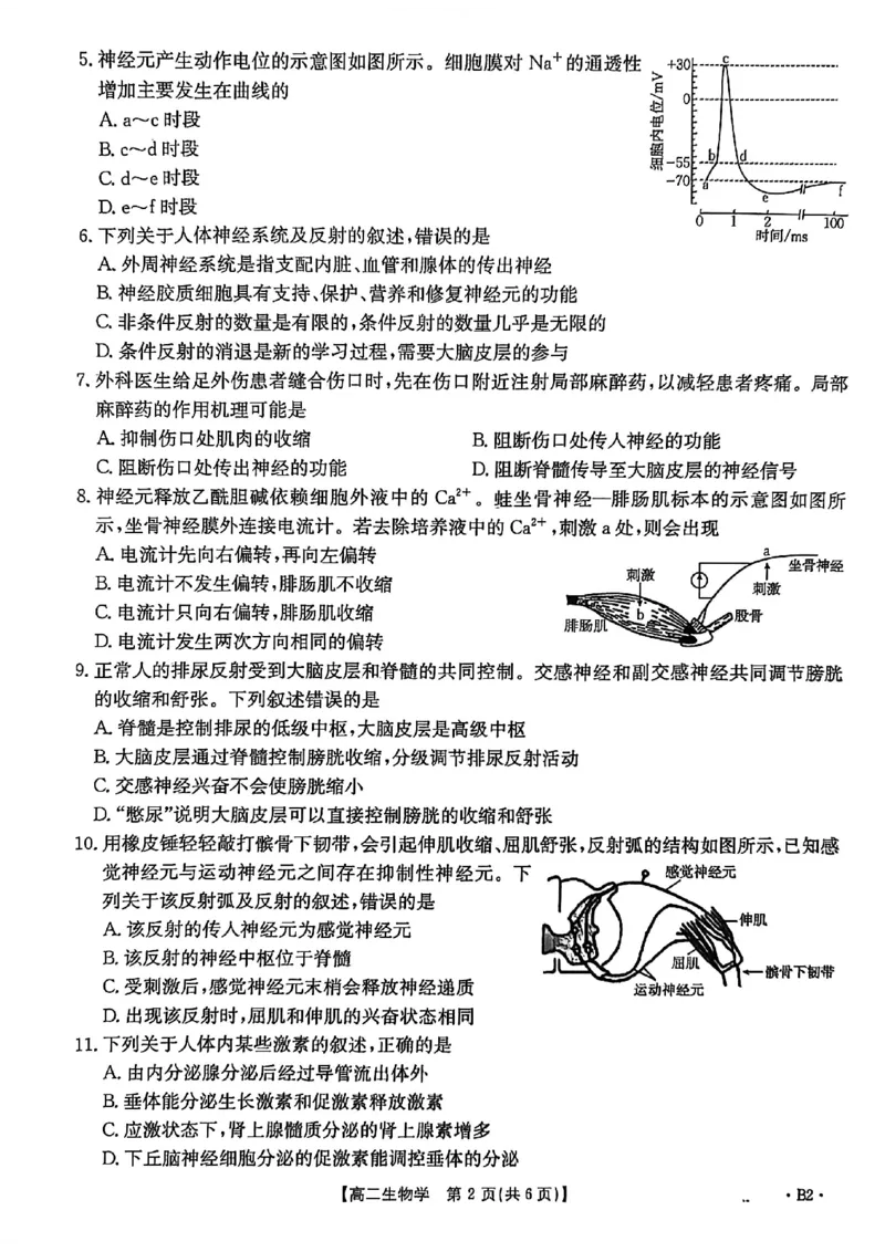 河北省2027届高二年级10月份联考（26-35B）生物B2_2025年10月高二试卷_251025金太阳&middot;河北省2027届高二年级10月份联考（26-35B）（全）