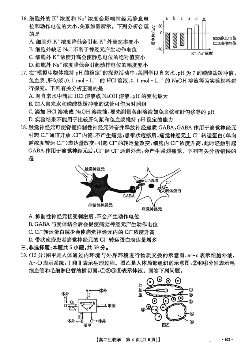 河北省2027届高二年级10月份联考（26-35B）生物B2_2025年10月高二试卷_251025金太阳&middot;河北省2027届高二年级10月份联考（26-35B）（全）
