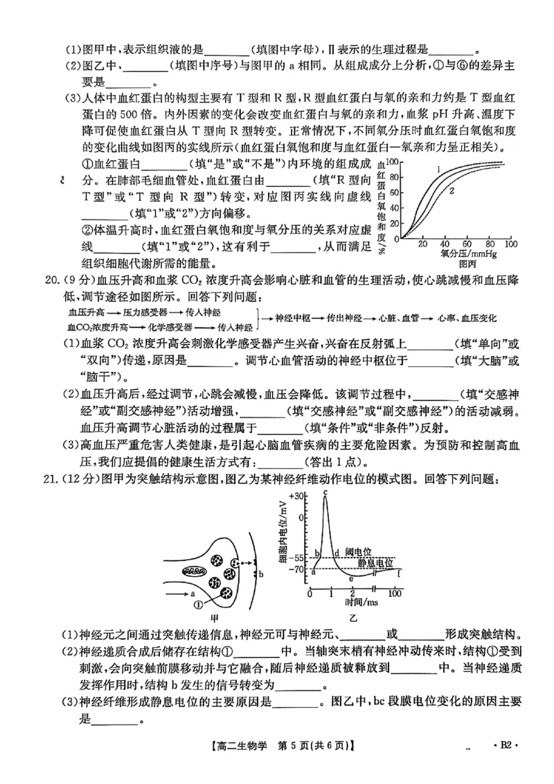 河北省2027届高二年级10月份联考（26-35B）生物B2_2025年10月高二试卷_251025金太阳&middot;河北省2027届高二年级10月份联考（26-35B）（全）