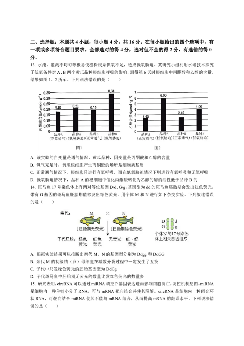 湖南省浏阳市校联盟2024-2025学年高三上学期12月联考生物试题_2024-2025高三（6-6月题库）_2024年12月试卷_1230湖南省浏阳市联盟校2024-2025学年高三上学期12月联考（全科）