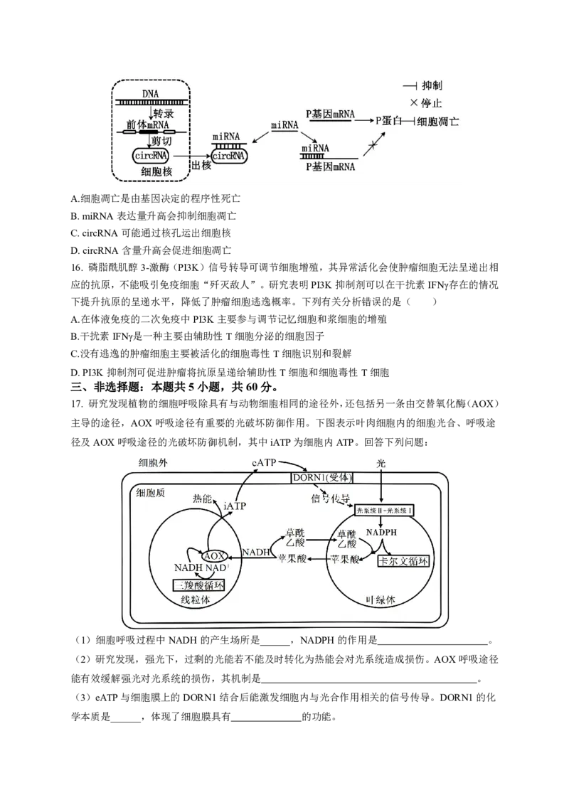 湖南省浏阳市校联盟2024-2025学年高三上学期12月联考生物试题_2024-2025高三（6-6月题库）_2024年12月试卷_1230湖南省浏阳市联盟校2024-2025学年高三上学期12月联考（全科）