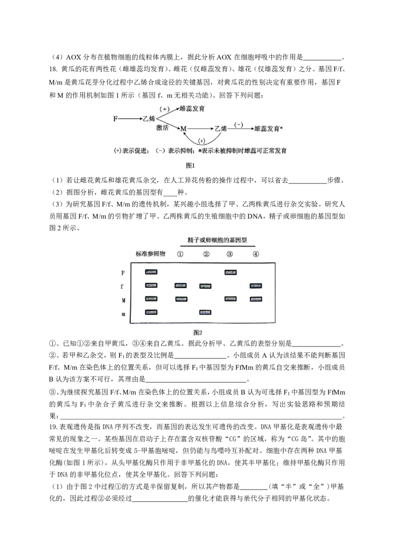 湖南省浏阳市校联盟2024-2025学年高三上学期12月联考生物试题_2024-2025高三（6-6月题库）_2024年12月试卷_1230湖南省浏阳市联盟校2024-2025学年高三上学期12月联考（全科）