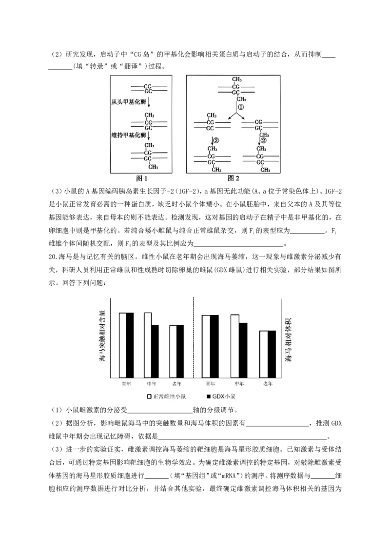 湖南省浏阳市校联盟2024-2025学年高三上学期12月联考生物试题_2024-2025高三（6-6月题库）_2024年12月试卷_1230湖南省浏阳市联盟校2024-2025学年高三上学期12月联考（全科）