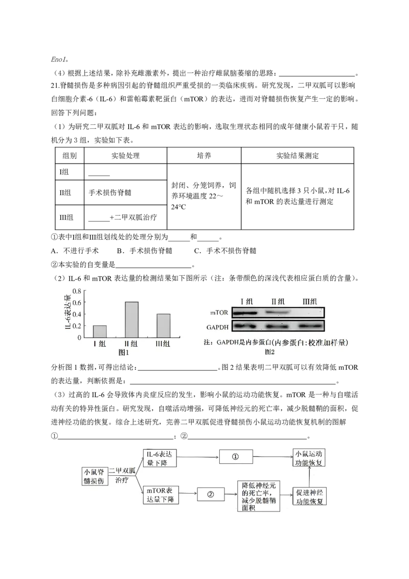 湖南省浏阳市校联盟2024-2025学年高三上学期12月联考生物试题_2024-2025高三（6-6月题库）_2024年12月试卷_1230湖南省浏阳市联盟校2024-2025学年高三上学期12月联考（全科）