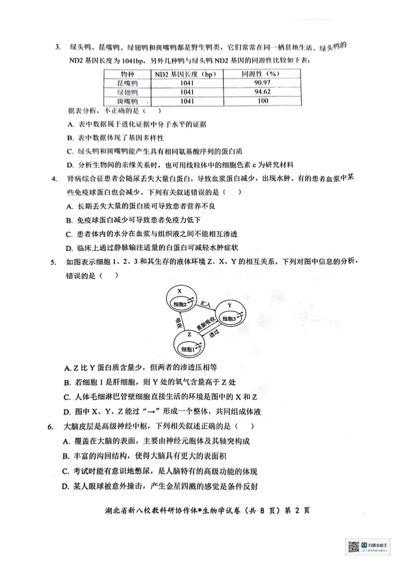 生物试卷_2024-2025高二（7-7月题库）_2024年12月试卷_1219湖北省新八校协作体2024-2025学年高二上学期12月联考试题_湖北省新八校协作体2024-2025学年高二上学期12月联考试题生物PDF版含答案