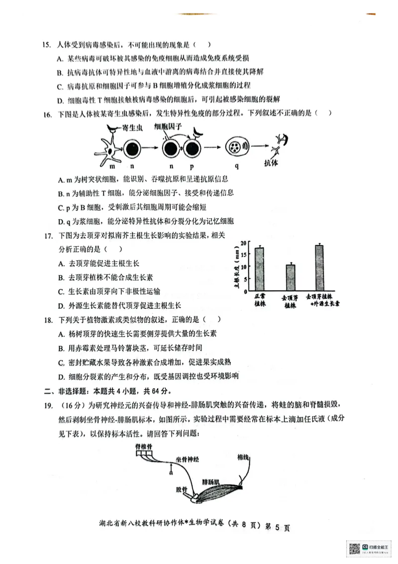 生物试卷_2024-2025高二（7-7月题库）_2024年12月试卷_1219湖北省新八校协作体2024-2025学年高二上学期12月联考试题_湖北省新八校协作体2024-2025学年高二上学期12月联考试题生物PDF版含答案