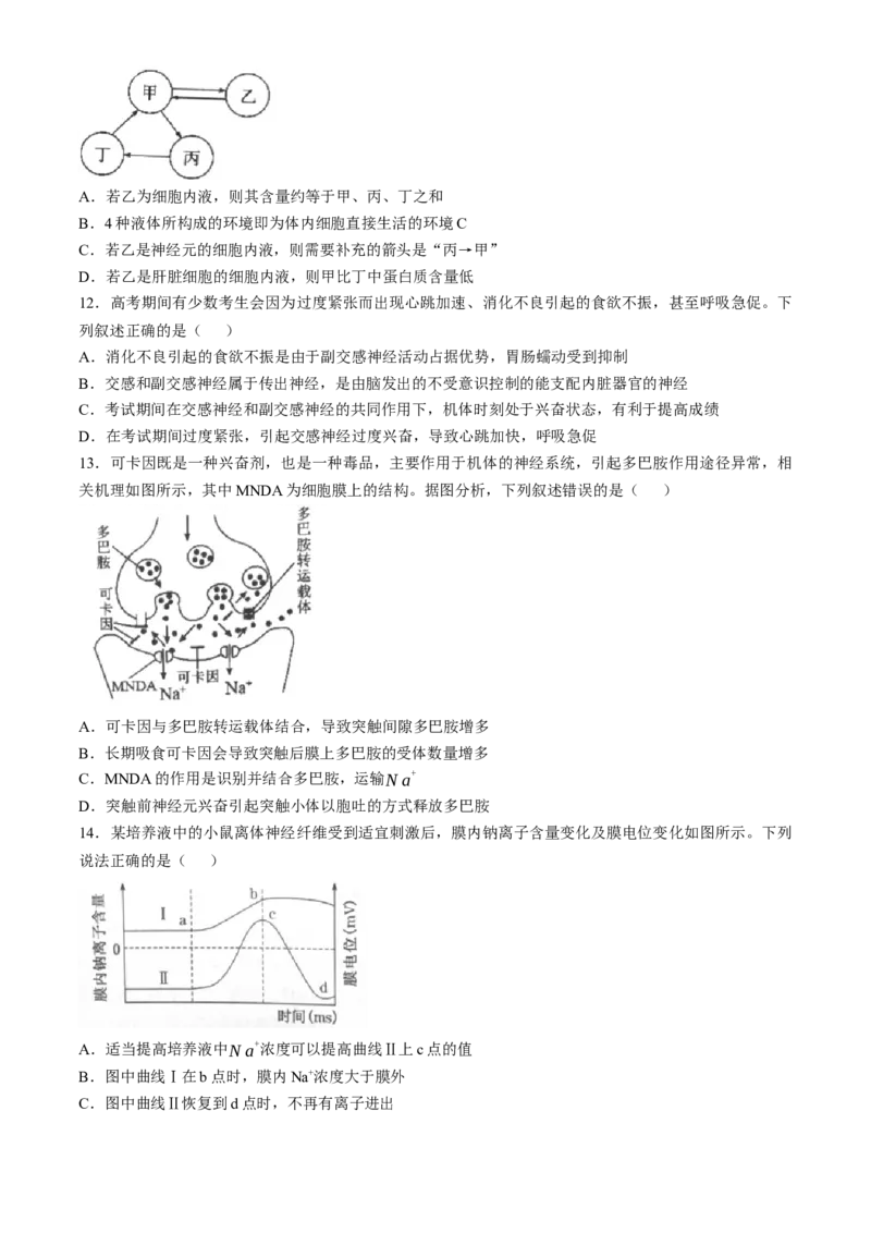 福建省三明市2024-2025学年高二上学期期末考试生物学试题（含答案）_2024-2025高二（7-7月题库）_2025年03月试卷_0325福建省三明市2024-2025学年高二上学期期末考试