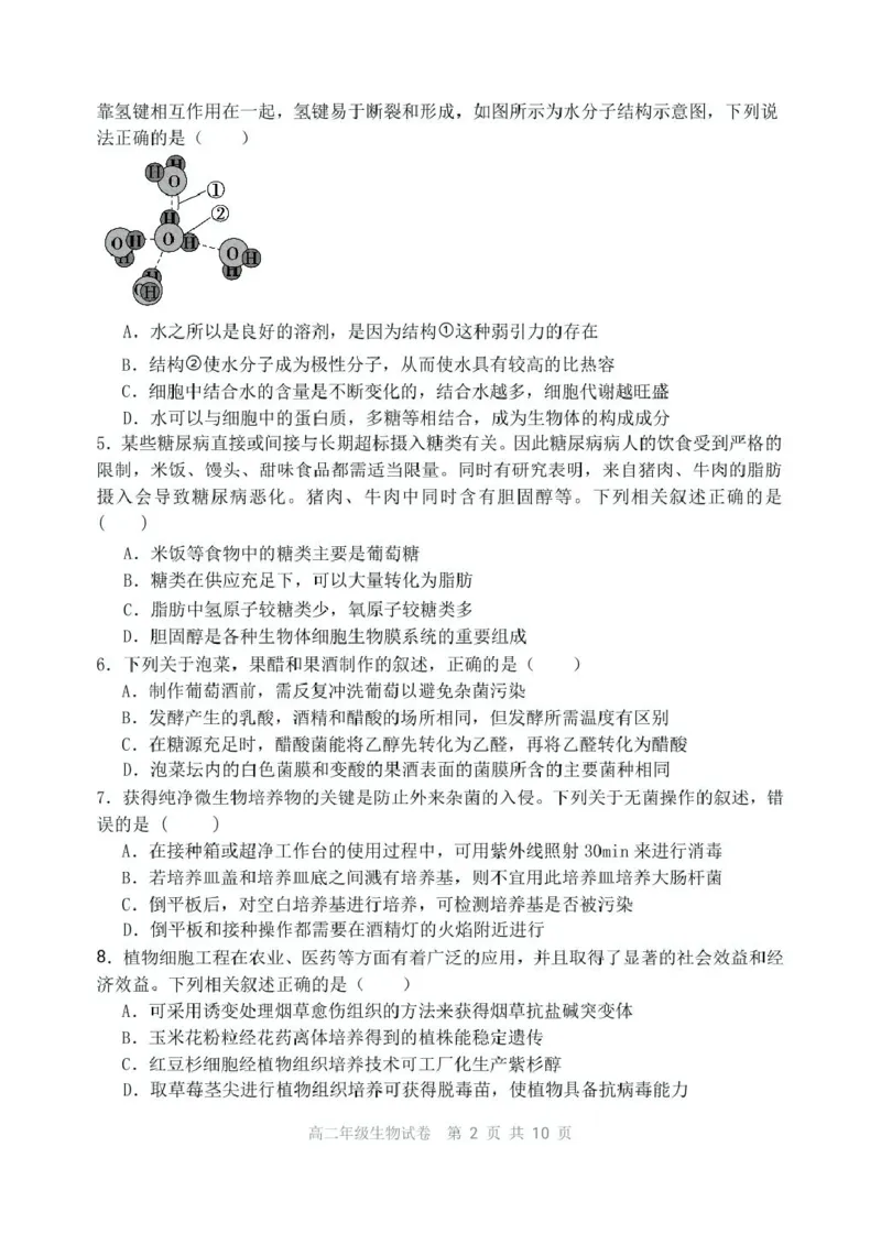 辽宁省沈阳市五校协作体2024-2025学年高二下学期期中生物试卷（扫描版有答案）_2024-2025高二（7-7月题库）_2025年6月试卷_0602辽宁省沈阳市五校协作体2024-2025学年高二下学期期中考试