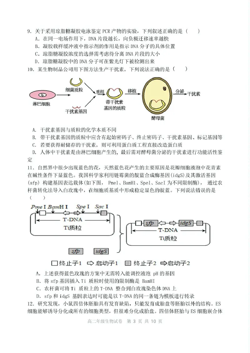 辽宁省沈阳市五校协作体2024-2025学年高二下学期期中生物试卷（扫描版有答案）_2024-2025高二（7-7月题库）_2025年6月试卷_0602辽宁省沈阳市五校协作体2024-2025学年高二下学期期中考试
