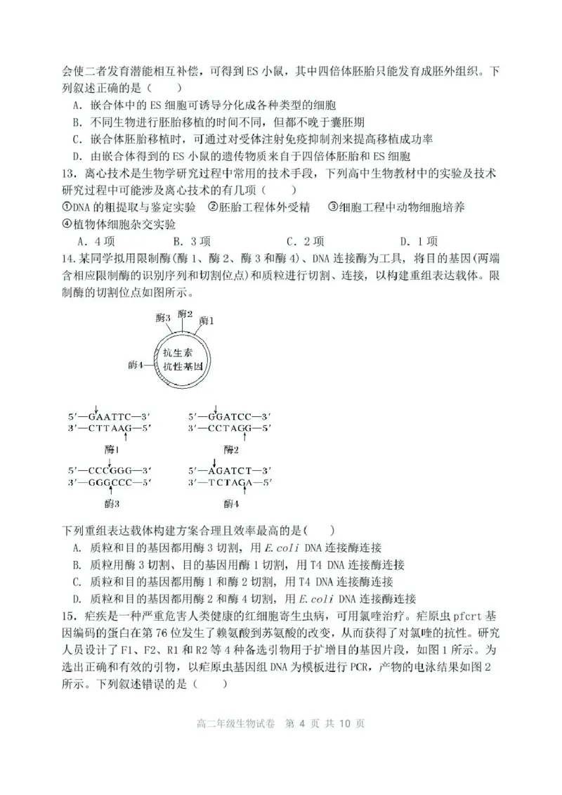 辽宁省沈阳市五校协作体2024-2025学年高二下学期期中生物试卷（扫描版有答案）_2024-2025高二（7-7月题库）_2025年6月试卷_0602辽宁省沈阳市五校协作体2024-2025学年高二下学期期中考试