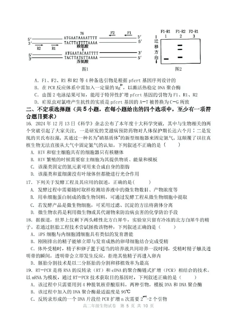 辽宁省沈阳市五校协作体2024-2025学年高二下学期期中生物试卷（扫描版有答案）_2024-2025高二（7-7月题库）_2025年6月试卷_0602辽宁省沈阳市五校协作体2024-2025学年高二下学期期中考试