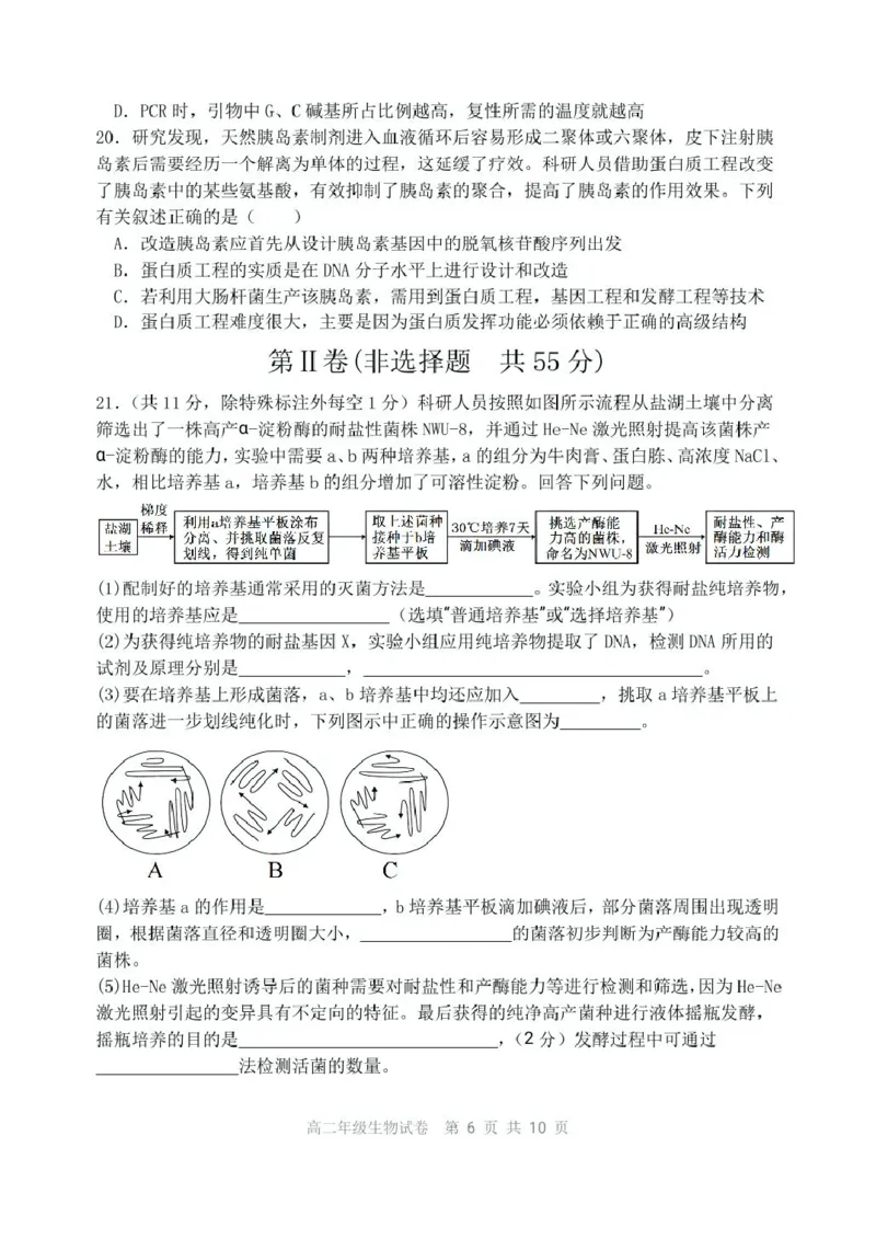 辽宁省沈阳市五校协作体2024-2025学年高二下学期期中生物试卷（扫描版有答案）_2024-2025高二（7-7月题库）_2025年6月试卷_0602辽宁省沈阳市五校协作体2024-2025学年高二下学期期中考试