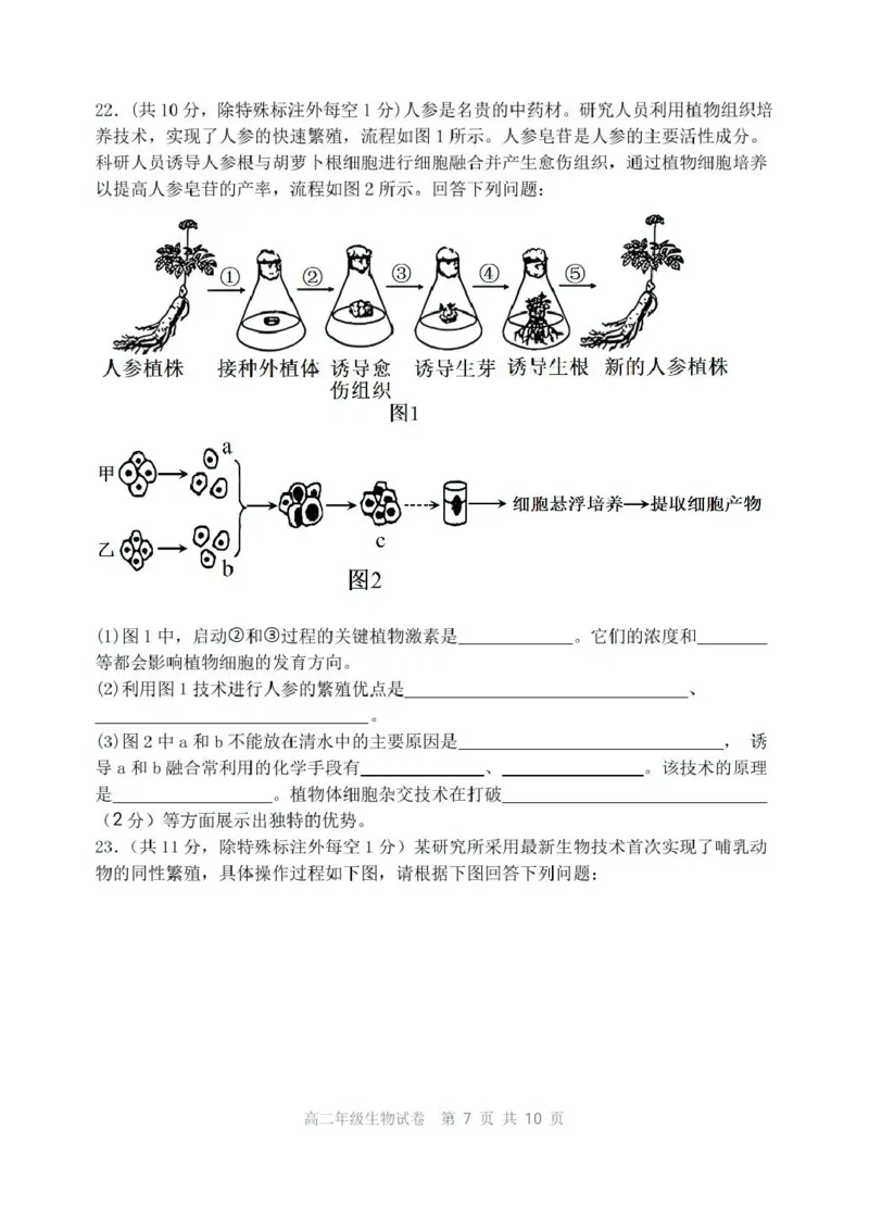 辽宁省沈阳市五校协作体2024-2025学年高二下学期期中生物试卷（扫描版有答案）_2024-2025高二（7-7月题库）_2025年6月试卷_0602辽宁省沈阳市五校协作体2024-2025学年高二下学期期中考试
