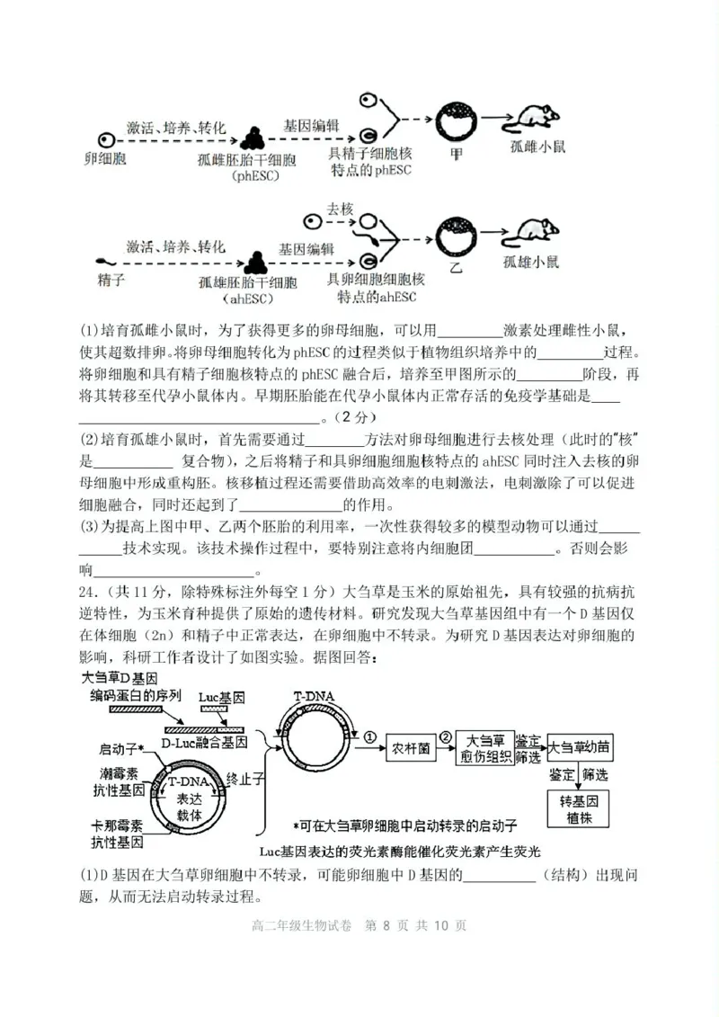 辽宁省沈阳市五校协作体2024-2025学年高二下学期期中生物试卷（扫描版有答案）_2024-2025高二（7-7月题库）_2025年6月试卷_0602辽宁省沈阳市五校协作体2024-2025学年高二下学期期中考试