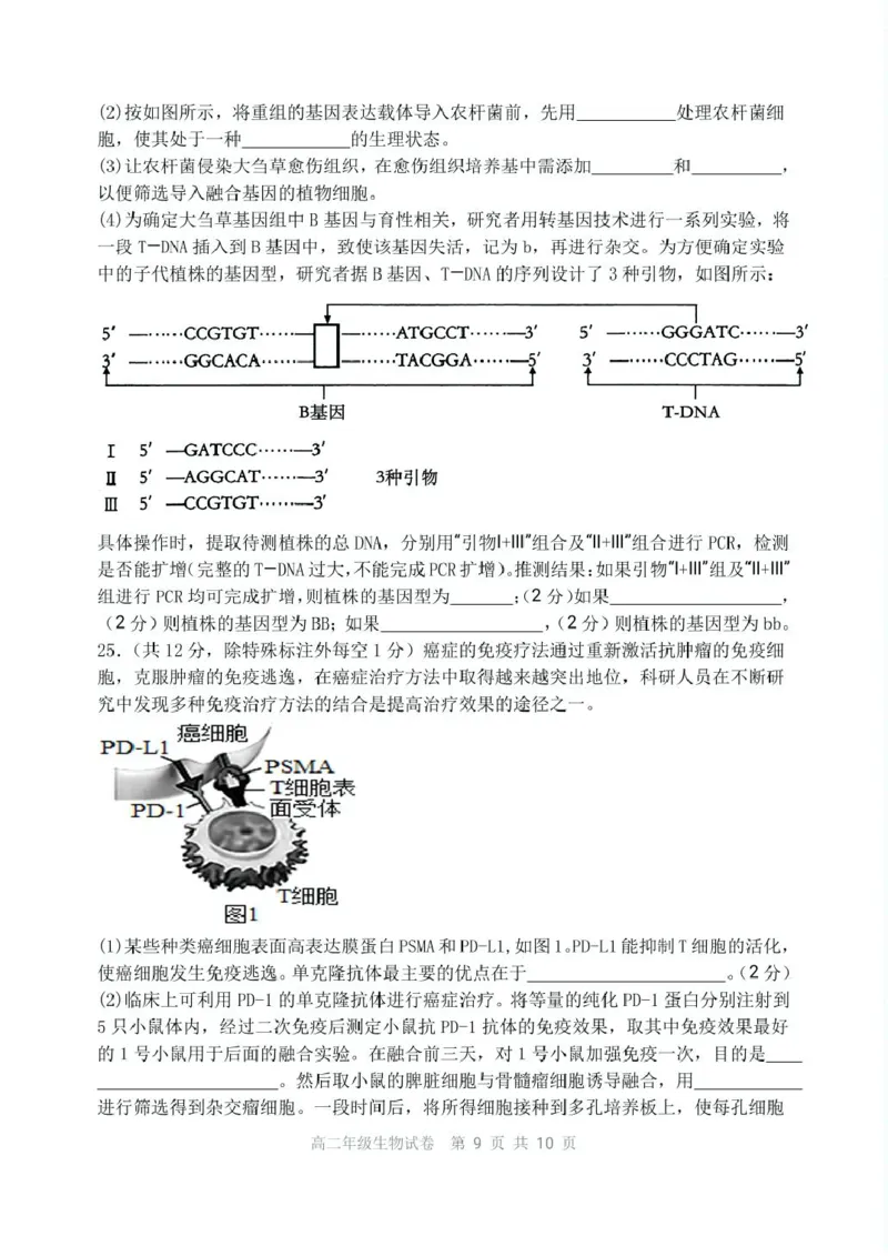 辽宁省沈阳市五校协作体2024-2025学年高二下学期期中生物试卷（扫描版有答案）_2024-2025高二（7-7月题库）_2025年6月试卷_0602辽宁省沈阳市五校协作体2024-2025学年高二下学期期中考试
