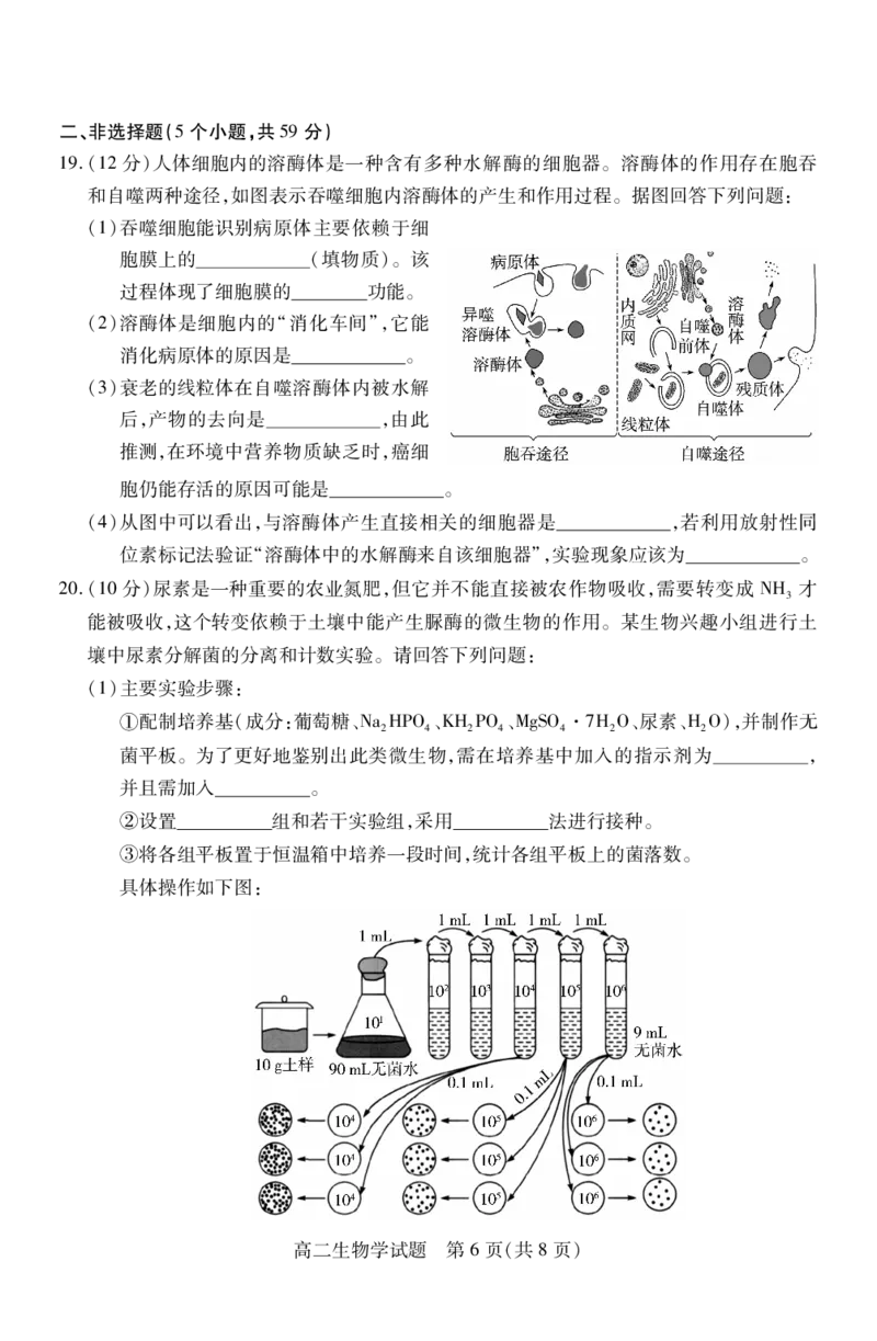 高二生物_2024-2025高二（7-7月题库）_2024年07月试卷_0706山西省运城市2023-2024学年高二第二学期期末调研测试_山西省运城市2023-2024学年高二第二学期期末调研测试生物