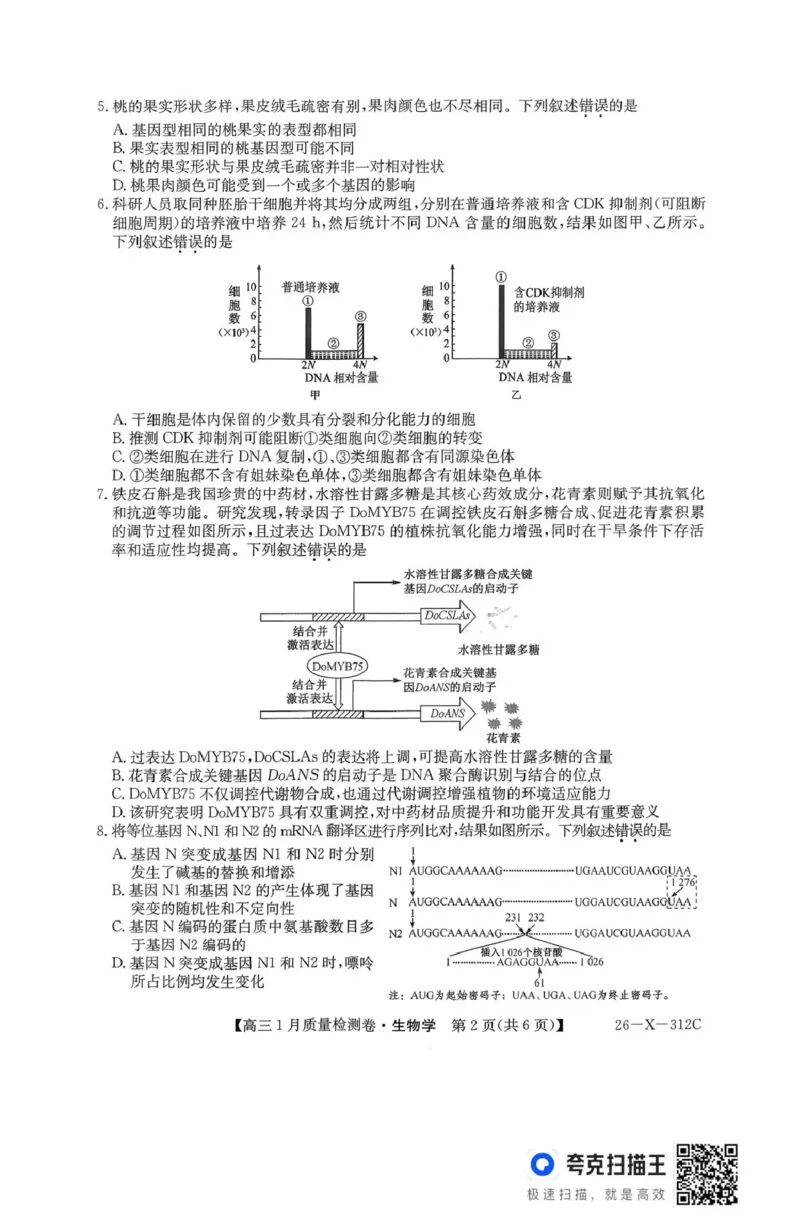 三晋卓越联盟2025~2026学年高三1月质量检测卷（26-X-312C）生物_2024-2026高三（6-6月题库）_2026年01月高三试卷_0114山西省三晋卓越联盟2025~2026学年高三1月质量检测卷（26-X-312C）