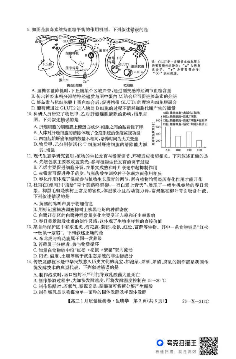 三晋卓越联盟2025~2026学年高三1月质量检测卷（26-X-312C）生物_2024-2026高三（6-6月题库）_2026年01月高三试卷_0114山西省三晋卓越联盟2025~2026学年高三1月质量检测卷（26-X-312C）
