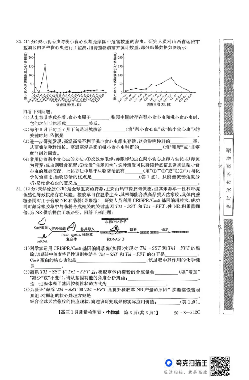三晋卓越联盟2025~2026学年高三1月质量检测卷（26-X-312C）生物_2024-2026高三（6-6月题库）_2026年01月高三试卷_0114山西省三晋卓越联盟2025~2026学年高三1月质量检测卷（26-X-312C）