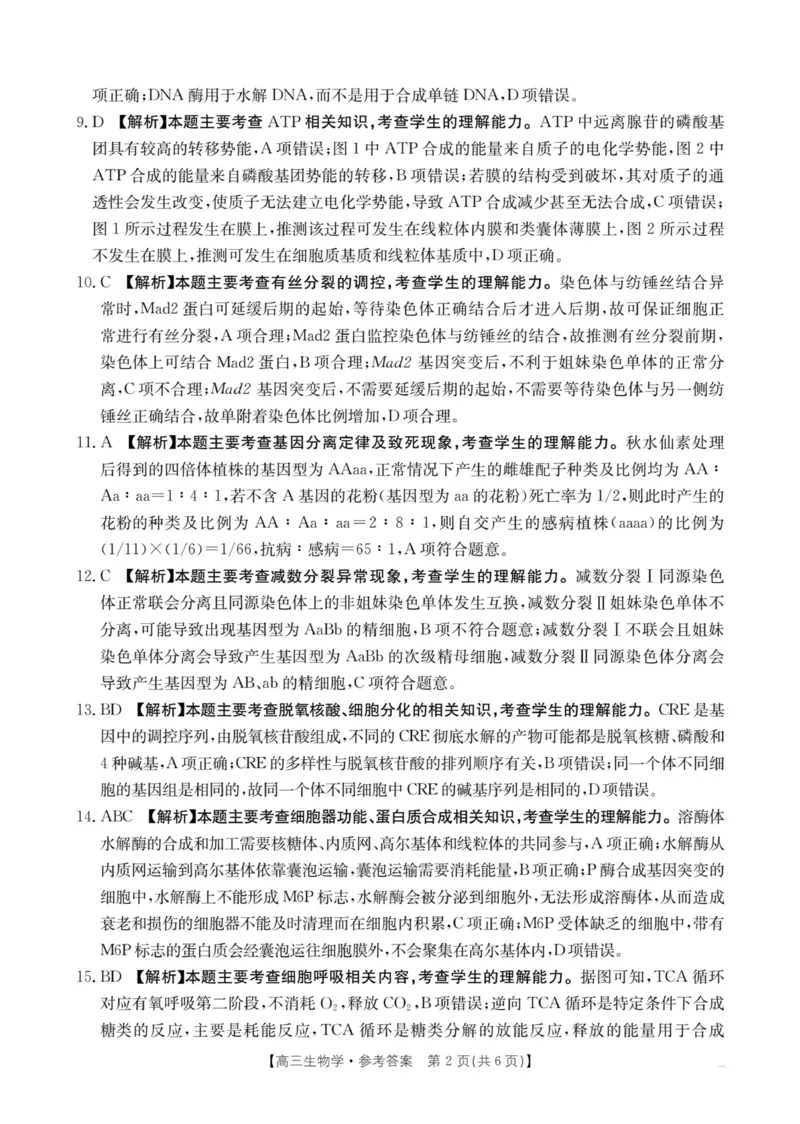 江西省2026届高三上学期10月联考（26-42C）生物答案_2024-2026高三（6-6月题库）_2025年10月高三试卷_251028金太阳&middot;江西省2026届高三上学期10月联考（26-42C）（全科)
