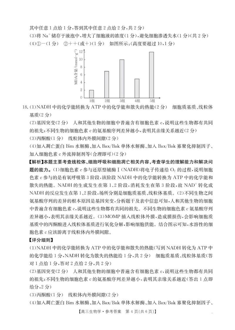 江西省2026届高三上学期10月联考（26-42C）生物答案_2024-2026高三（6-6月题库）_2025年10月高三试卷_251028金太阳&middot;江西省2026届高三上学期10月联考（26-42C）（全科)