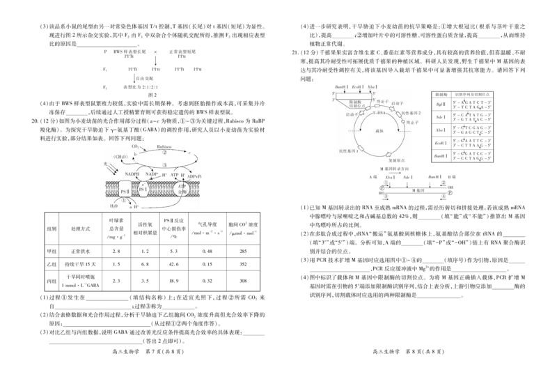 26届1月高三年级测试&middot;生物1.7_2024-2026高三（6-6月题库）_2026年01月高三试卷_0118上进联考&middot;江西省2026届高三上学期1月联考（全）