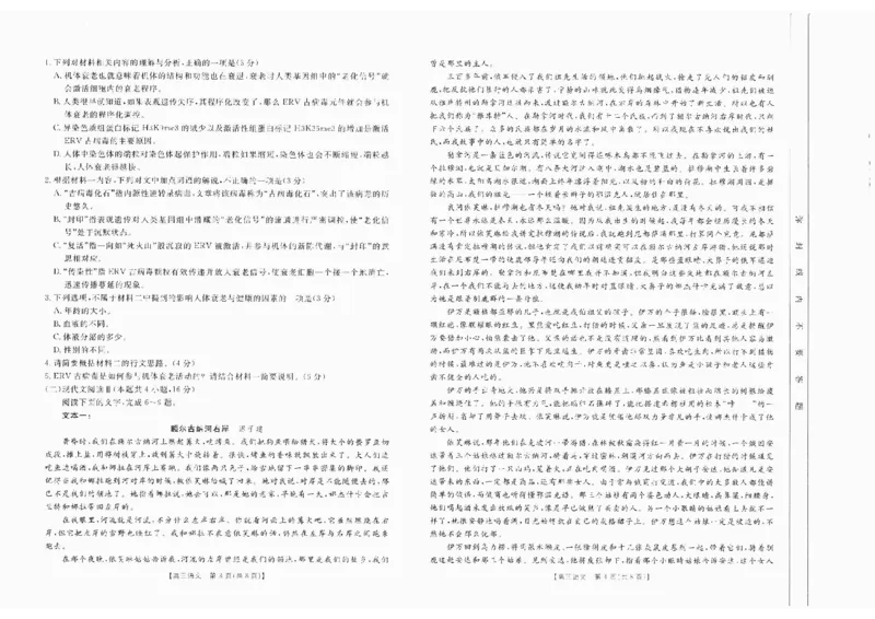 语文_2024-2025高三（6-6月题库）_2024年10月试卷_10132025届四川省高三金太阳10月联考（25-73C）