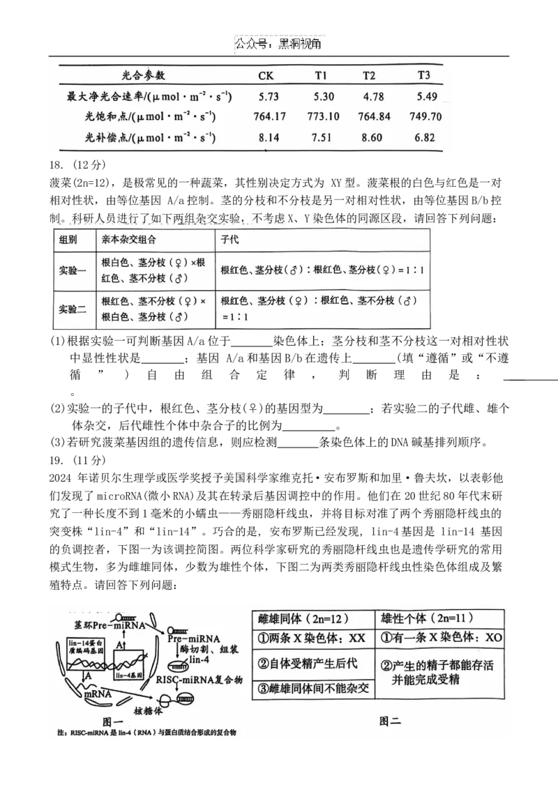 安徽省A10联盟2024~2025学年高三上学期11月月考生物试题_2024-2026高三（6-6月题库）_2024年11月试卷_1115安徽A10联盟2025届高三上学期11月段考