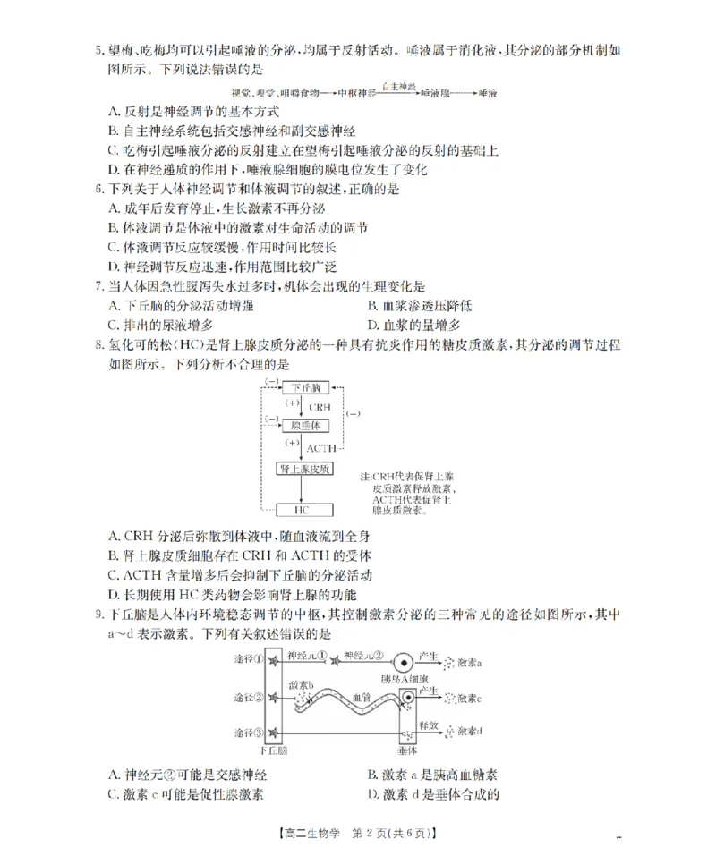 辽宁省葫芦岛市协作校2025-2026学年高二上学期第一次考试（26-71B）生物_2025年11月高二试卷_251117金太阳&middot;辽宁省葫芦岛市协作校2025-2026学年高二上学期第一次考试（26-71B）（全）