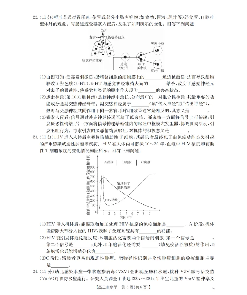 辽宁省葫芦岛市协作校2025-2026学年高二上学期第一次考试（26-71B）生物_2025年11月高二试卷_251117金太阳&middot;辽宁省葫芦岛市协作校2025-2026学年高二上学期第一次考试（26-71B）（全）