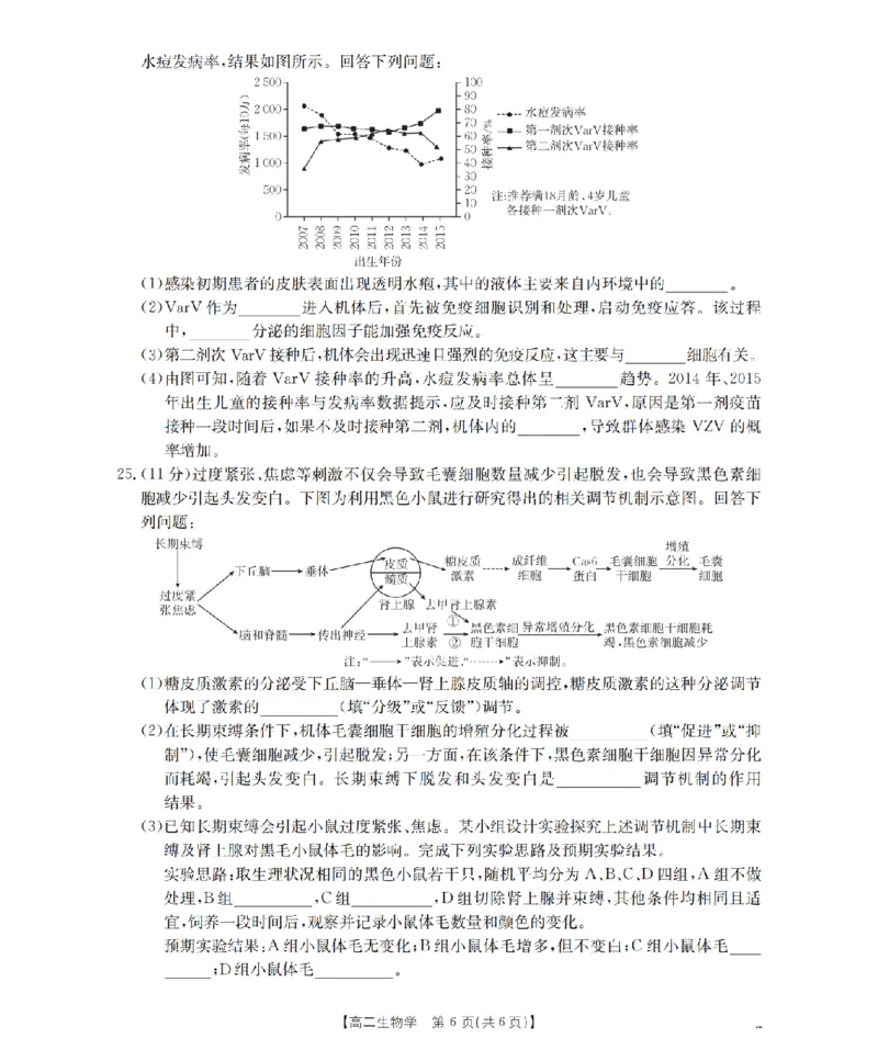 辽宁省葫芦岛市协作校2025-2026学年高二上学期第一次考试（26-71B）生物_2025年11月高二试卷_251117金太阳&middot;辽宁省葫芦岛市协作校2025-2026学年高二上学期第一次考试（26-71B）（全）