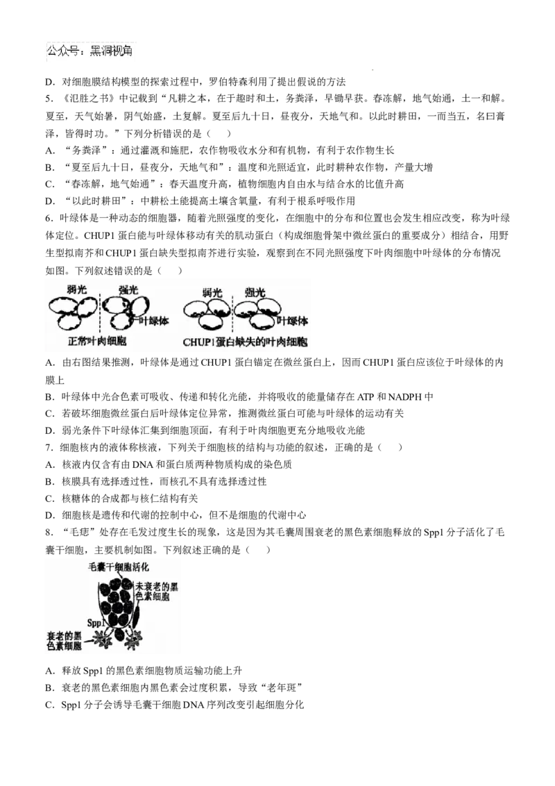 辽宁省七校协作体2024-2025学年高三上学期11月期中联考试题生物Word版含答案_2024-2025高三（6-6月题库）_2024年11月试卷_1119辽宁省七校协作体2024-2025学年高三上学期11月期中联考（全科）
