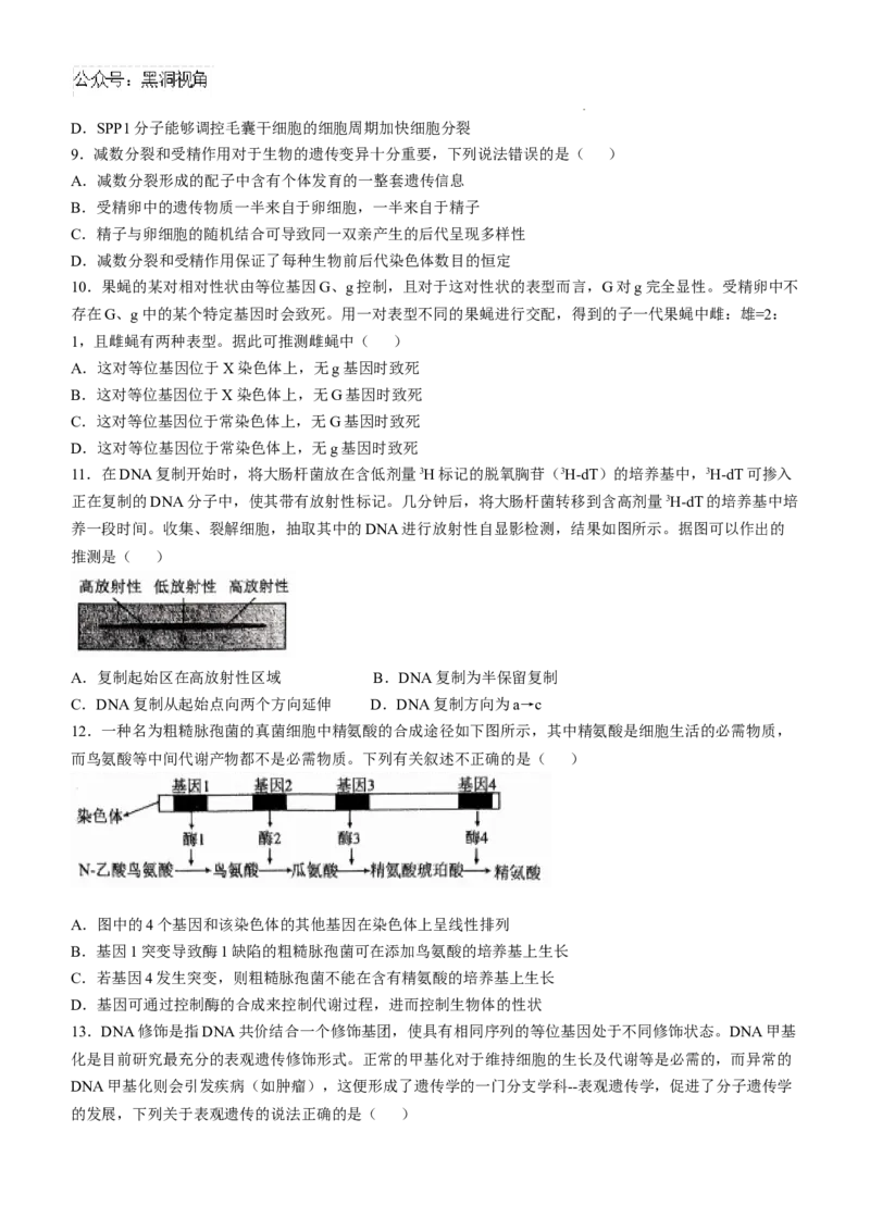 辽宁省七校协作体2024-2025学年高三上学期11月期中联考试题生物Word版含答案_2024-2025高三（6-6月题库）_2024年11月试卷_1119辽宁省七校协作体2024-2025学年高三上学期11月期中联考（全科）