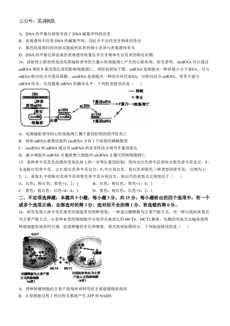 辽宁省七校协作体2024-2025学年高三上学期11月期中联考试题生物Word版含答案_2024-2025高三（6-6月题库）_2024年11月试卷_1119辽宁省七校协作体2024-2025学年高三上学期11月期中联考（全科）