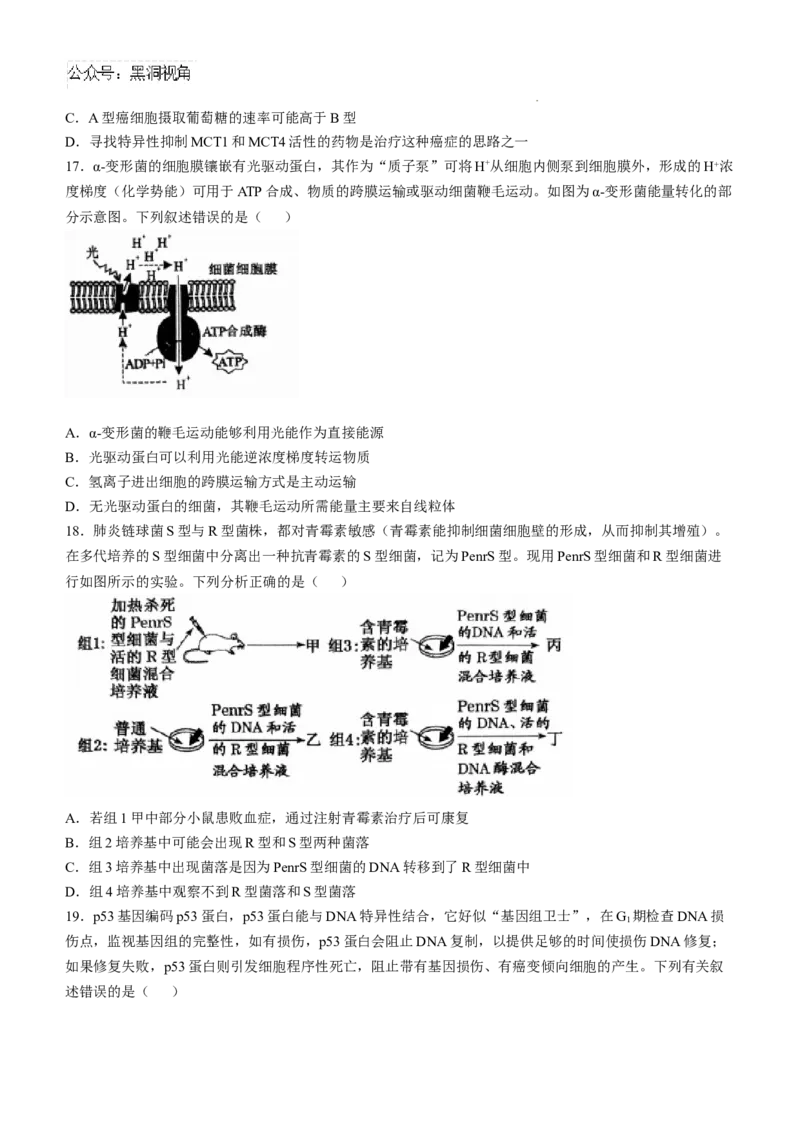 辽宁省七校协作体2024-2025学年高三上学期11月期中联考试题生物Word版含答案_2024-2025高三（6-6月题库）_2024年11月试卷_1119辽宁省七校协作体2024-2025学年高三上学期11月期中联考（全科）