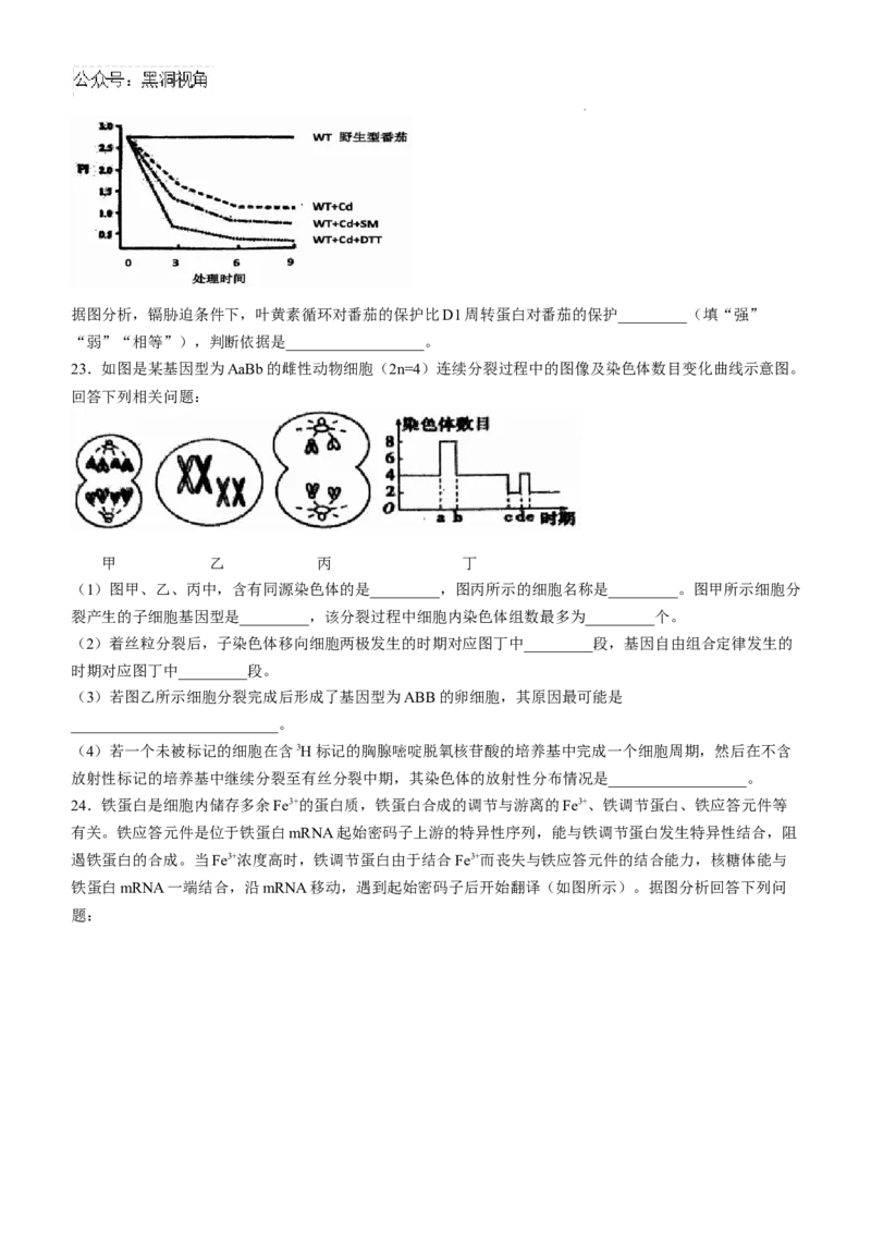 辽宁省七校协作体2024-2025学年高三上学期11月期中联考试题生物Word版含答案_2024-2025高三（6-6月题库）_2024年11月试卷_1119辽宁省七校协作体2024-2025学年高三上学期11月期中联考（全科）