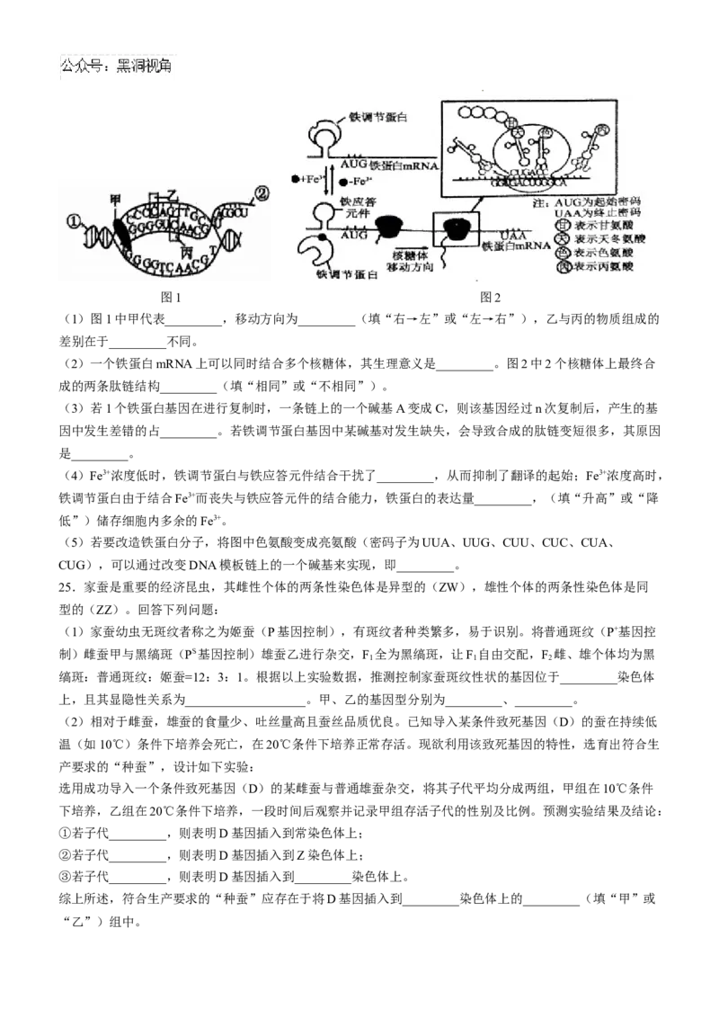 辽宁省七校协作体2024-2025学年高三上学期11月期中联考试题生物Word版含答案_2024-2025高三（6-6月题库）_2024年11月试卷_1119辽宁省七校协作体2024-2025学年高三上学期11月期中联考（全科）
