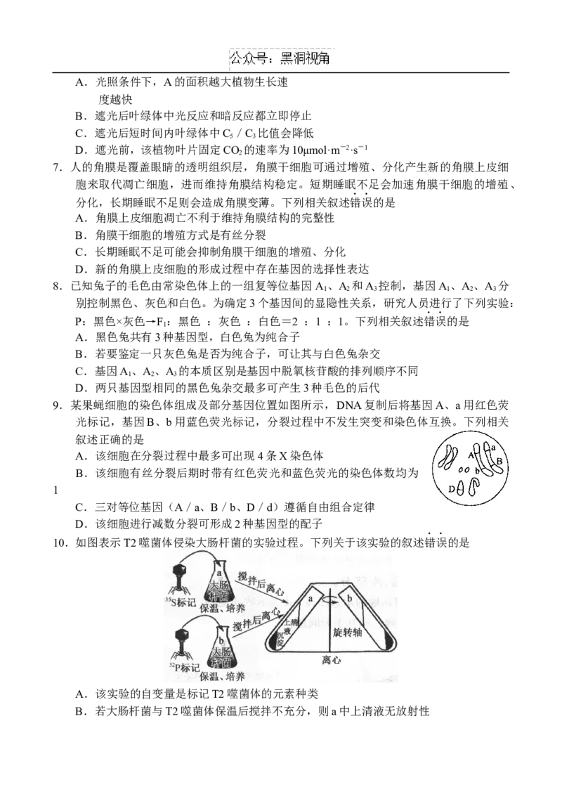 生物-副本_2024-2026高三（6-6月题库）_2024年10月试卷_1018河南省新高中创新联盟TOP二十名校2024-2025学年高三上学期10月调研考试