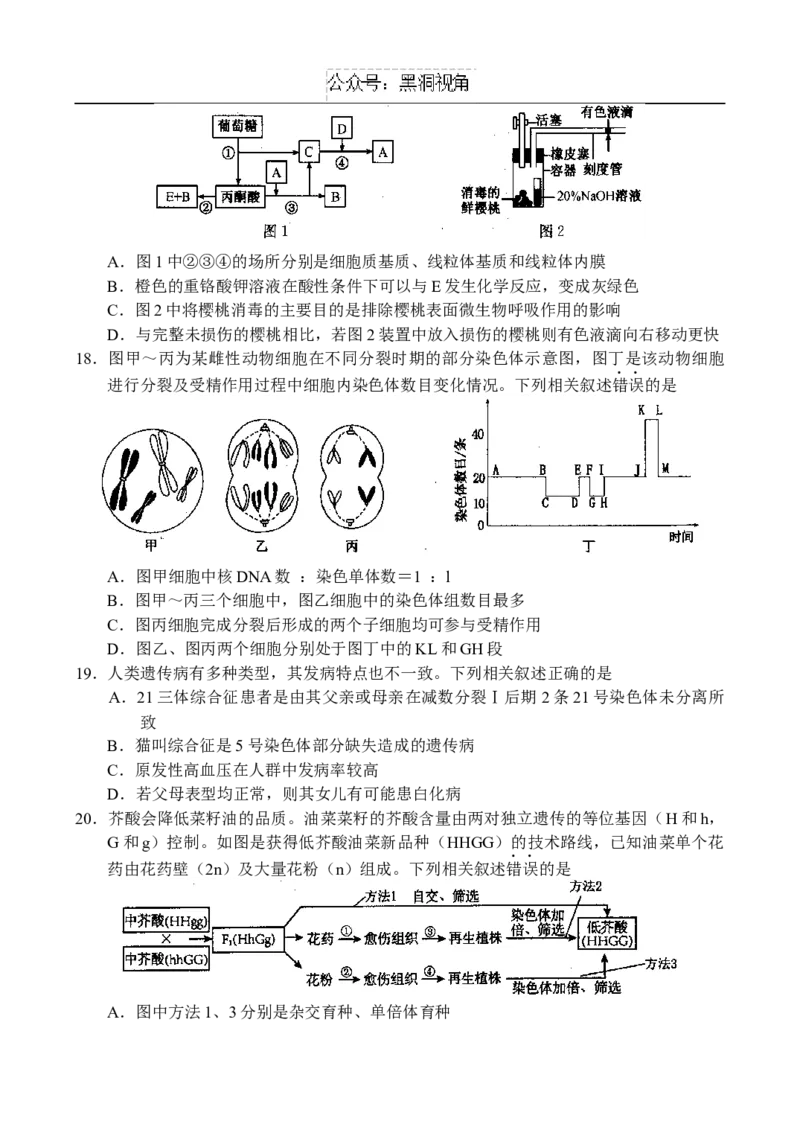 生物-副本_2024-2026高三（6-6月题库）_2024年10月试卷_1018河南省新高中创新联盟TOP二十名校2024-2025学年高三上学期10月调研考试