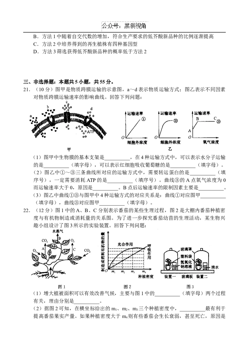 生物-副本_2024-2026高三（6-6月题库）_2024年10月试卷_1018河南省新高中创新联盟TOP二十名校2024-2025学年高三上学期10月调研考试